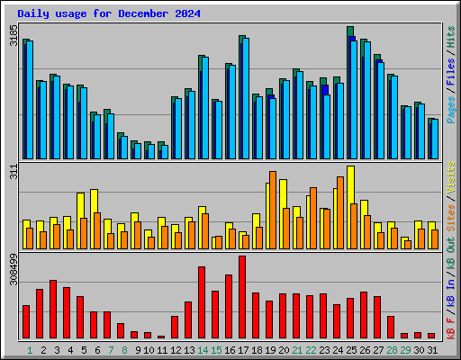 Daily usage for December 2024
