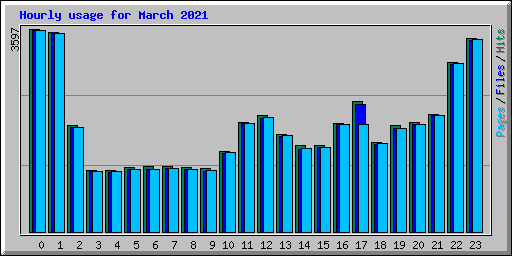 Hourly usage for March 2021