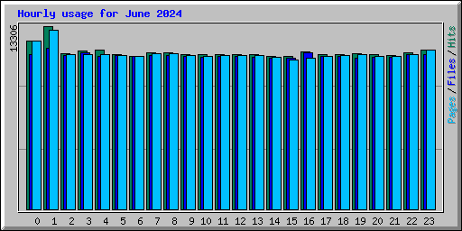Hourly usage for June 2024