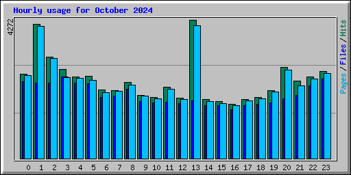 Hourly usage for October 2024
