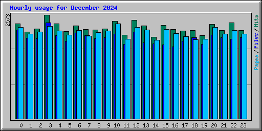 Hourly usage for December 2024