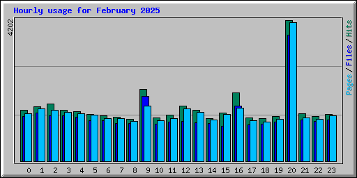 Hourly usage for February 2025