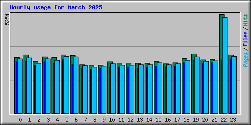 Hourly usage for March 2025