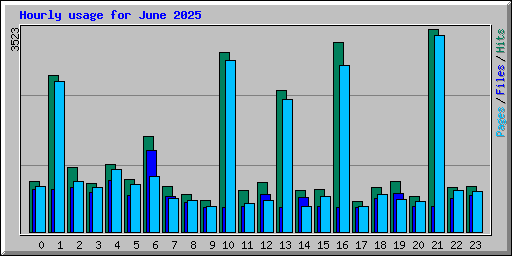 Hourly usage for June 2025