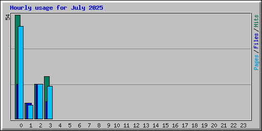 Hourly usage for July 2025