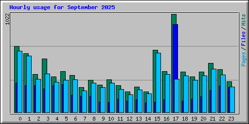 Hourly usage for September 2025