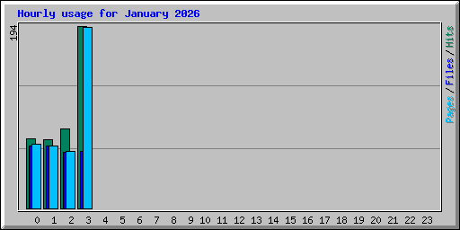 Hourly usage for January 2026